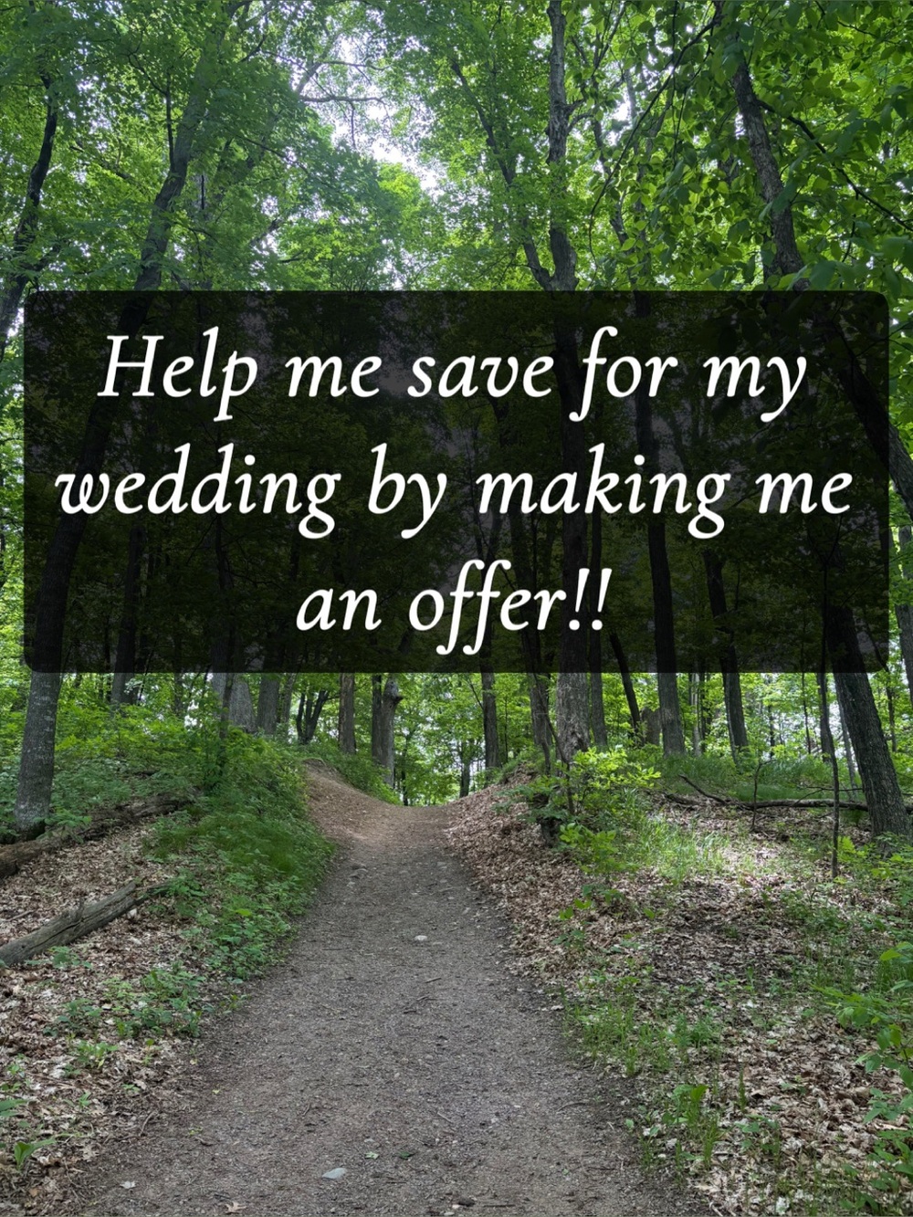 WEDDING BOUND & ACCEPTING OFFERS!!
